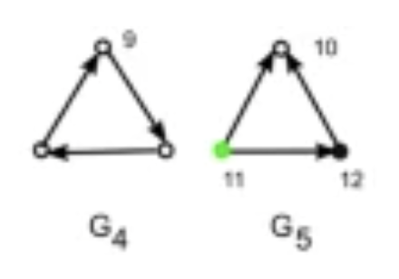 G4 and G5 Directed Network Motifs