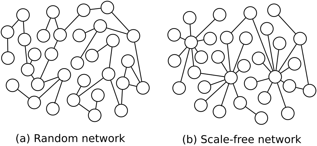 Scale-free networks.
