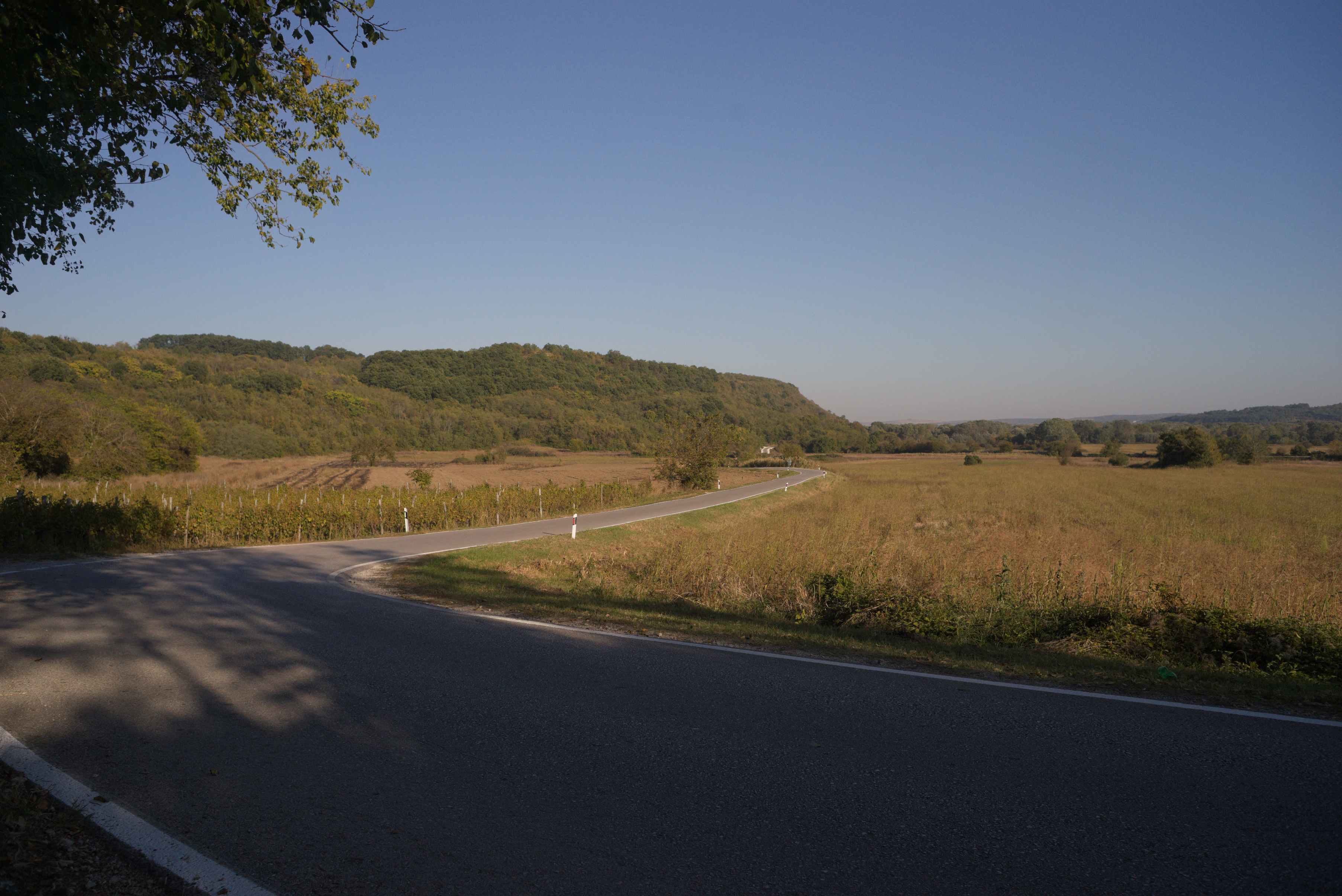 The road to Zajecar from Negotin