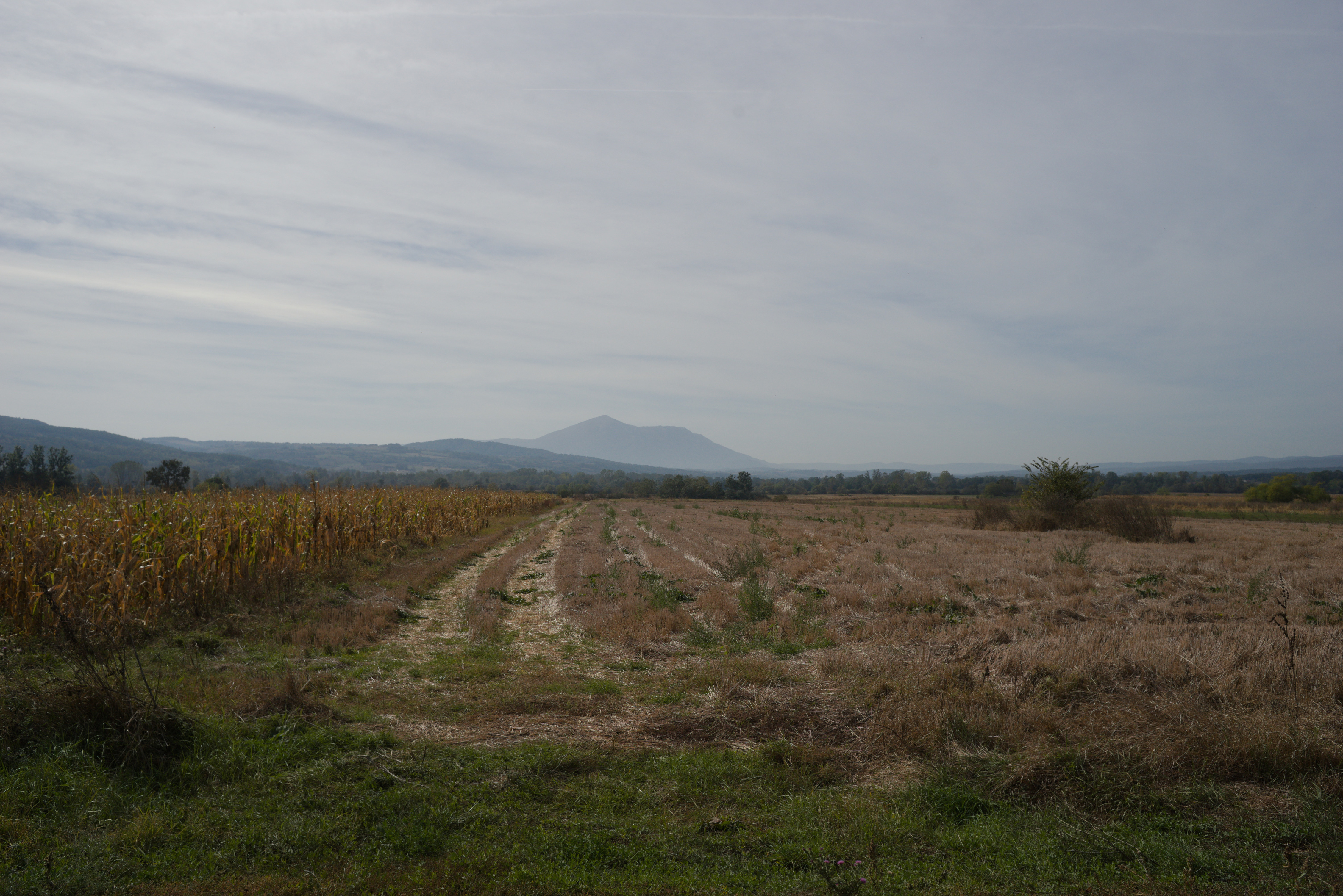 The road through fields and mountain in the distance