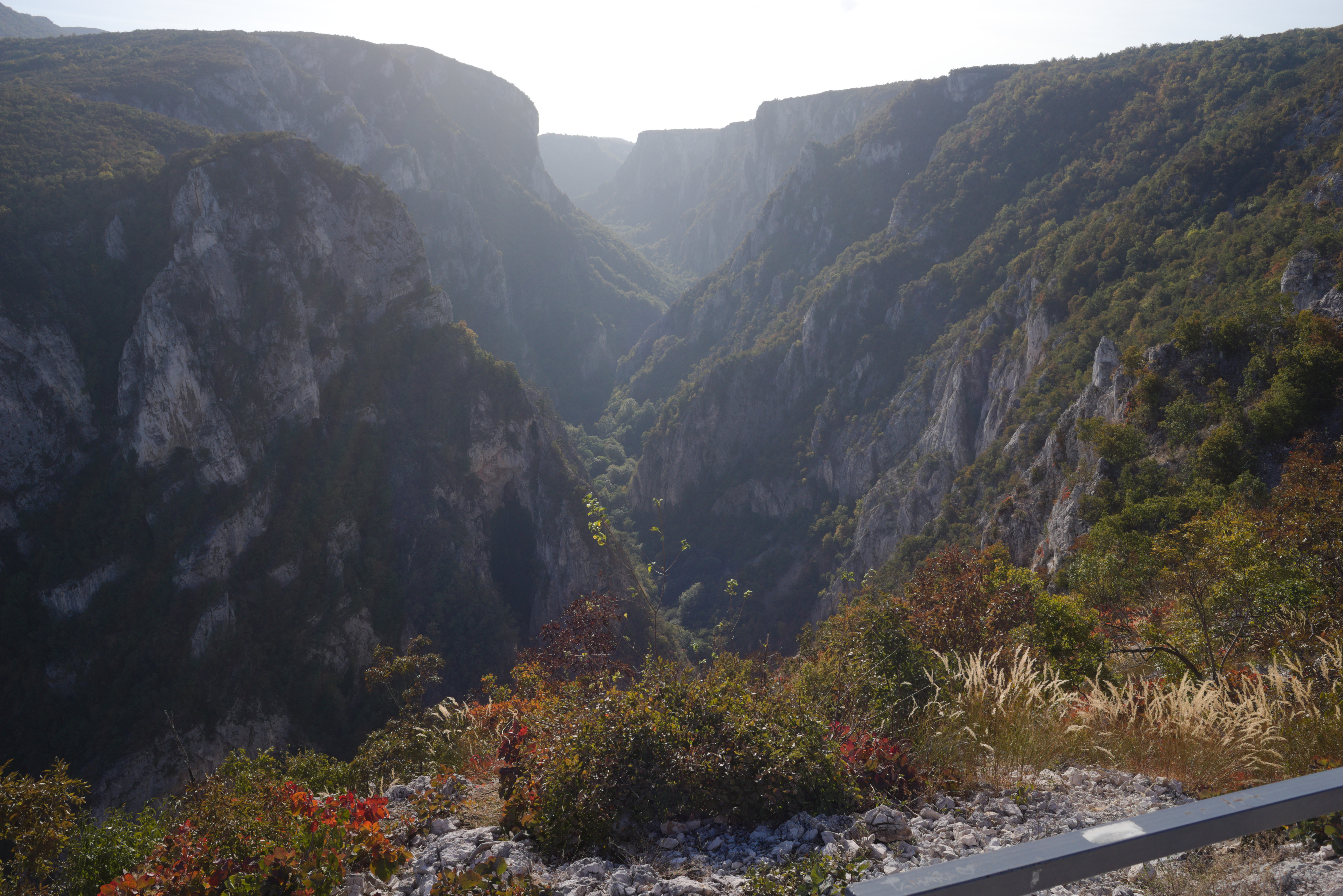 Lazar's Canyon from 650 meteres above the sea